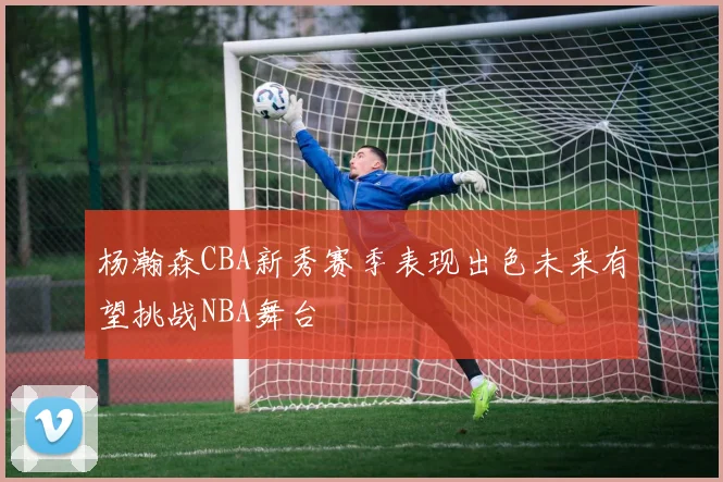 杨瀚森CBA新秀赛季表现出色未来有望挑战NBA舞台